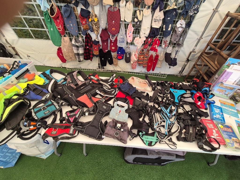 Harnais pour chiens - Geel - Putte - Bruxelles, Animaux & Accessoires, Enlèvement ou Envoi, Comme neuf
