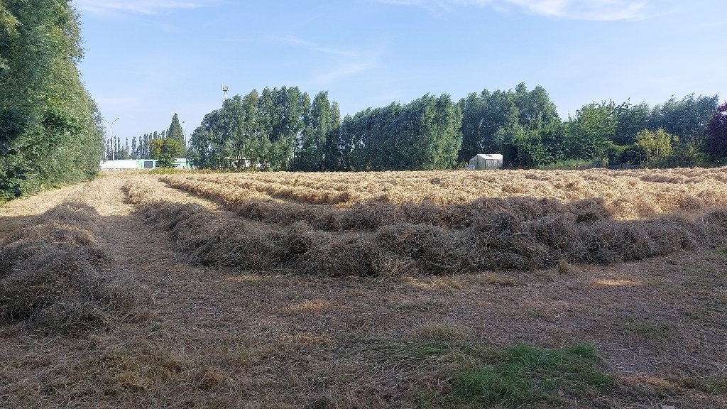 Hooi voor paarden, Dieren en Toebehoren