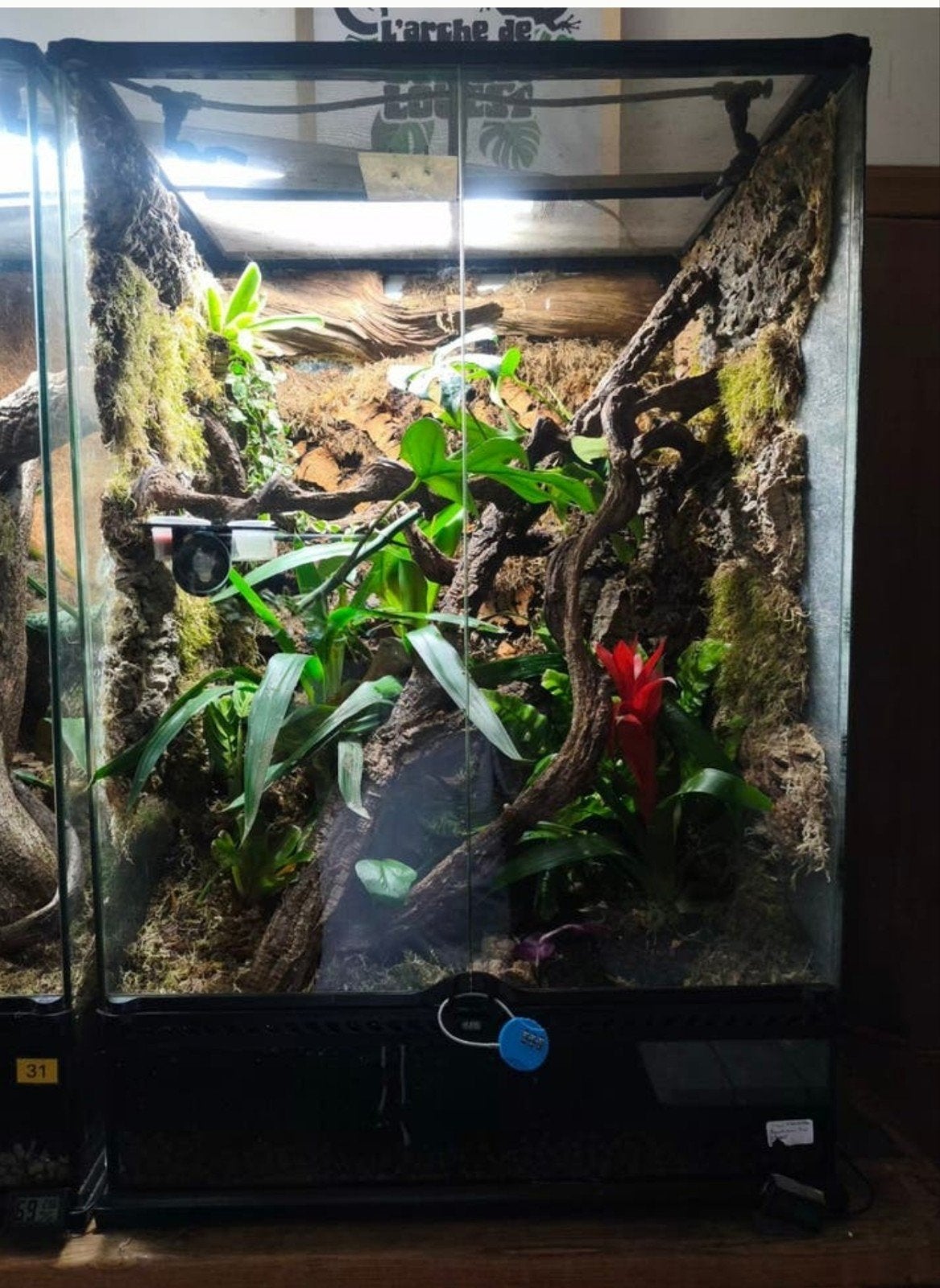 Grand Biotope Jungle Mood Exoterra 60x45x90, Ophalen, Zo goed als nieuw, Terrarium of Paludarium