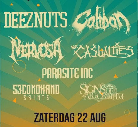 2x VIP parkpop oostkamp, Tickets & Billets, Événements & Festivals, Deux personnes