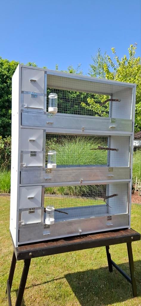 Cage à oiseaux, Enlèvement ou Envoi