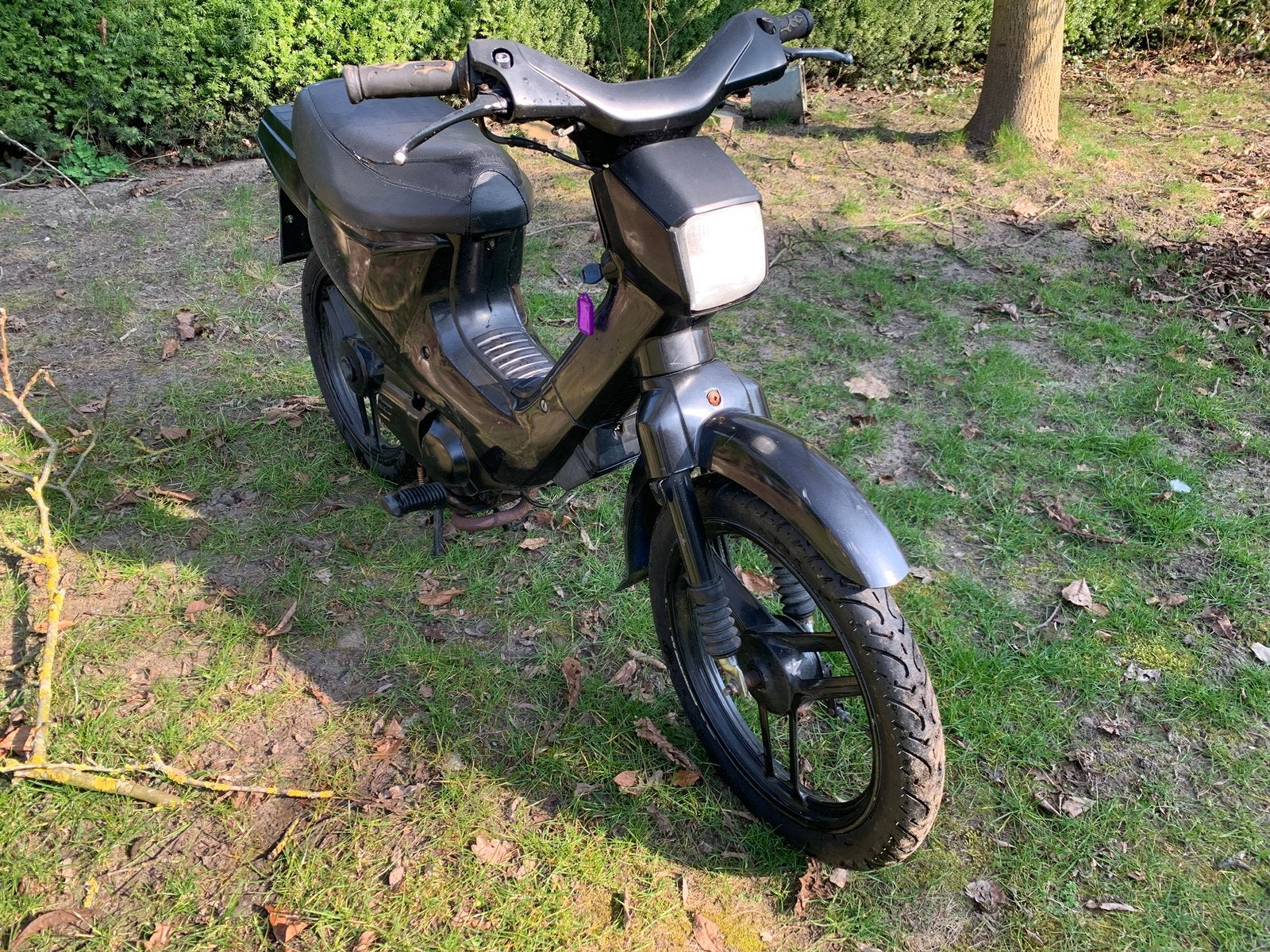 Honda wallaroo met papieren, Fietsen en Brommers, Brommers | Honda, Ophalen, Zo goed als nieuw