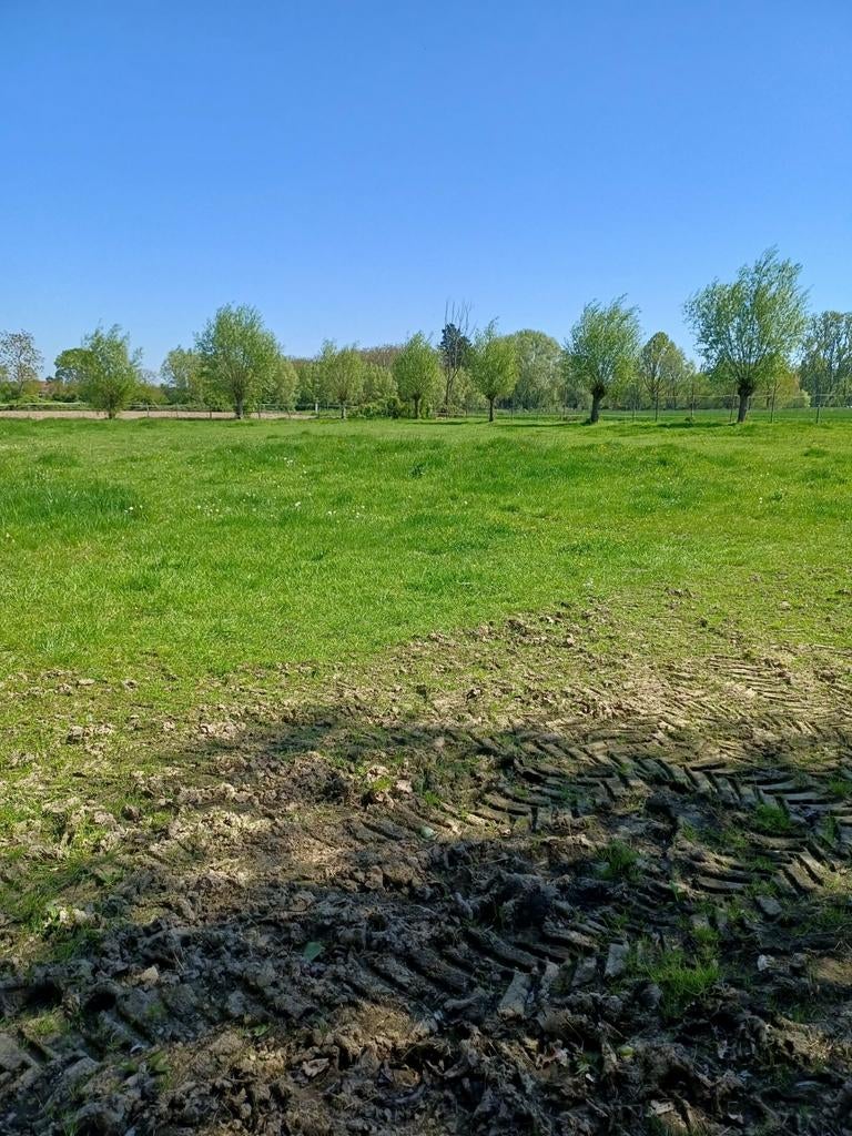 weilend te huur, Dieren en Toebehoren, Stalling