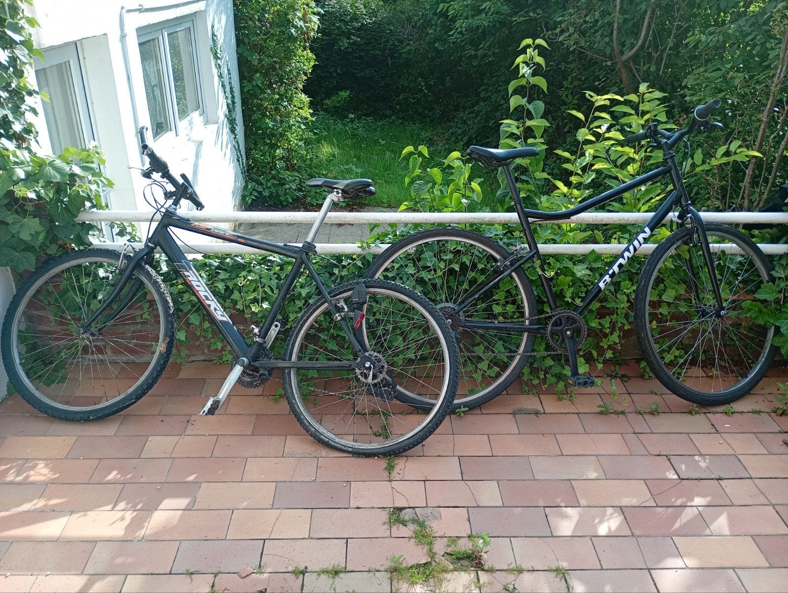 À réparer 2 vélos. 1 taille M et 1 taille L/XL (20€ le vélo)