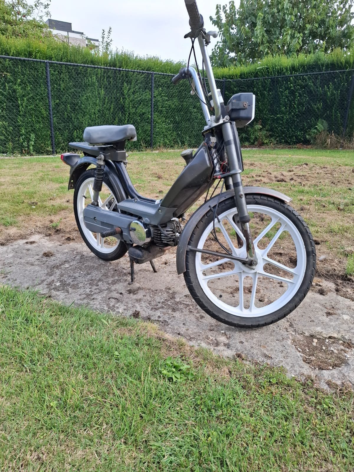 Honda camino pa50, Vélos & Vélomoteurs, Cyclomoteurs | Tomos, Enlèvement, Comme neuf