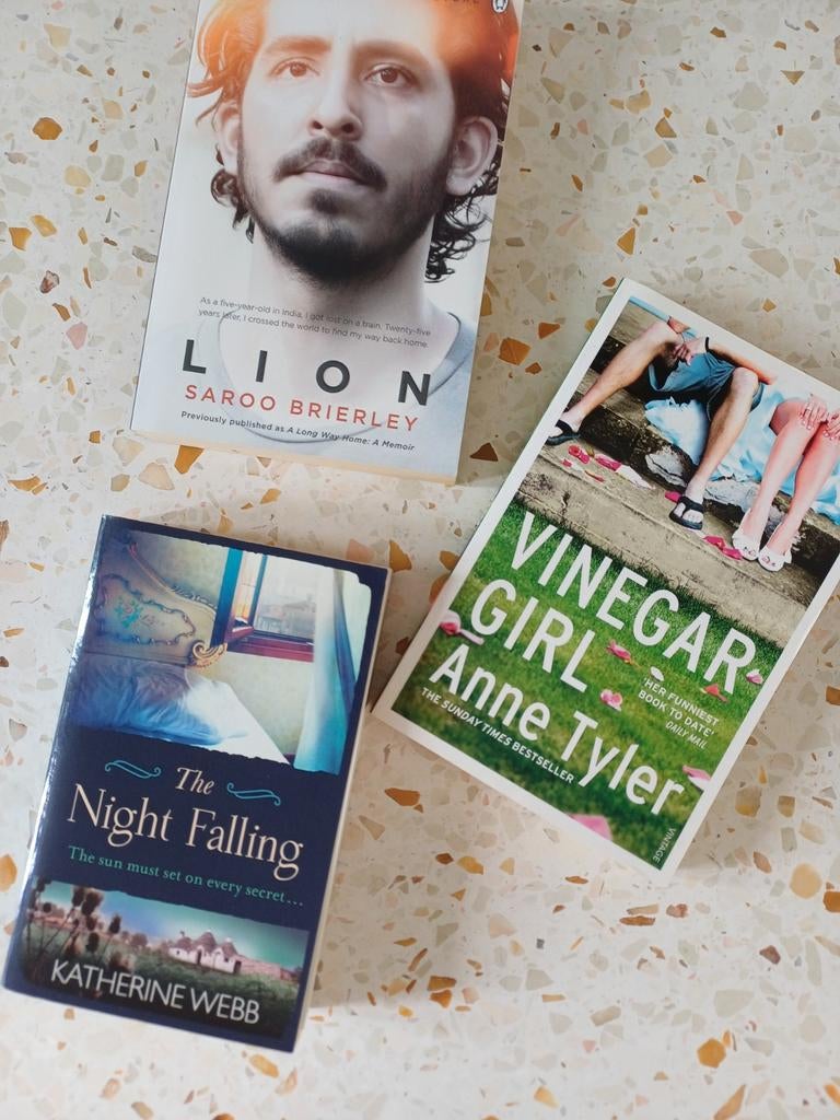 Livres : lion, fille au vinaigre, la nuit qui tombe, Enlèvement
