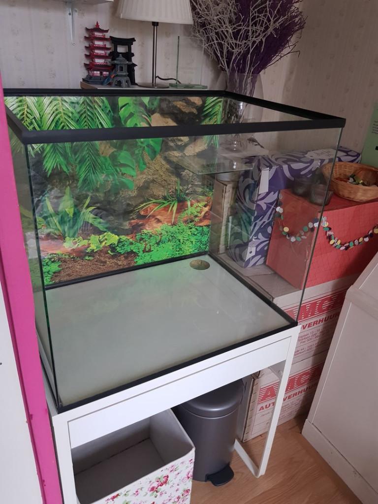 Glazen terrarium op maat voor knaagdieren, Minder dan 60 cm, Ophalen of Verzenden, Minder dan 75 cm, Nieuw