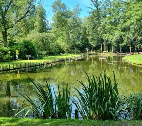 Vissen gezocht voor grote natuurvijver, Dieren en Toebehoren, Vissen | Vijvervissen