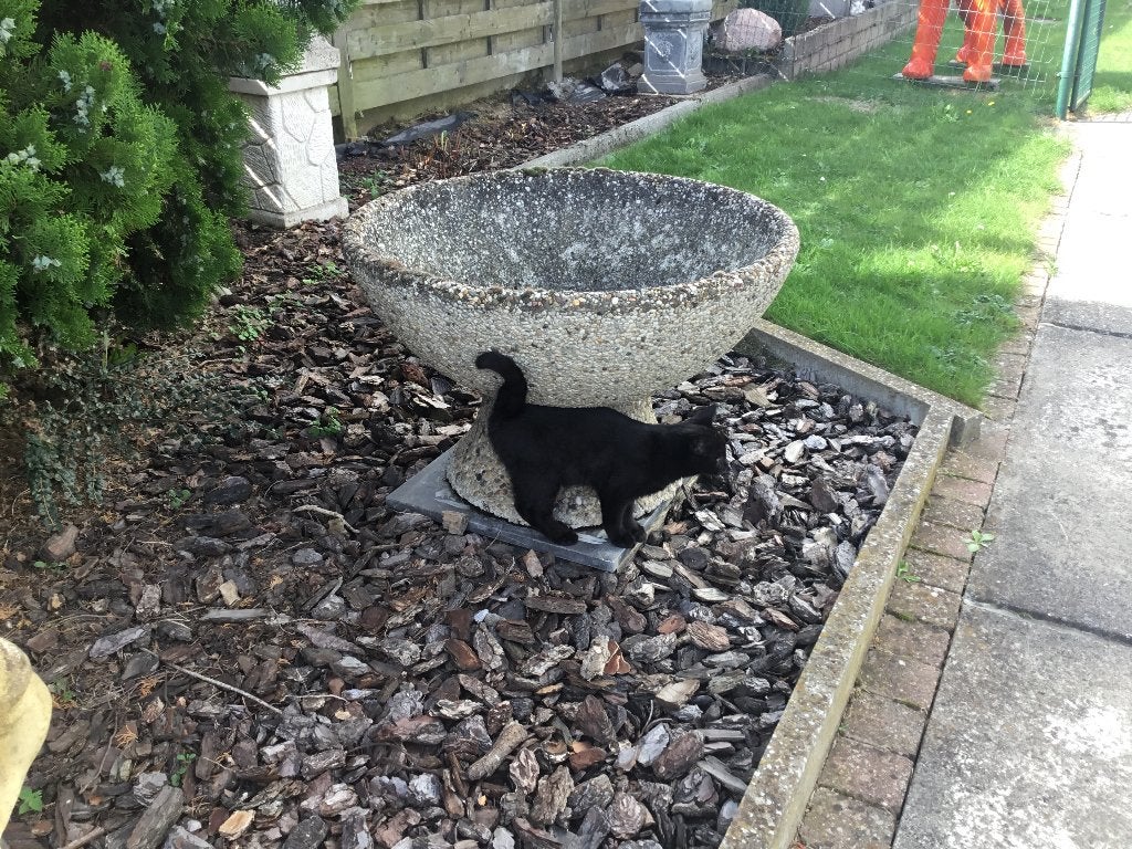 Bloembak in beton, Tuin en Terras, Ophalen, Beton