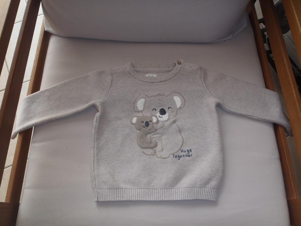 trui maat 74, Kinderen en Baby's, Babykleding | Maat 74, Ophalen of Verzenden, Zo goed als nieuw, Jongetje, Truitje of Vestje