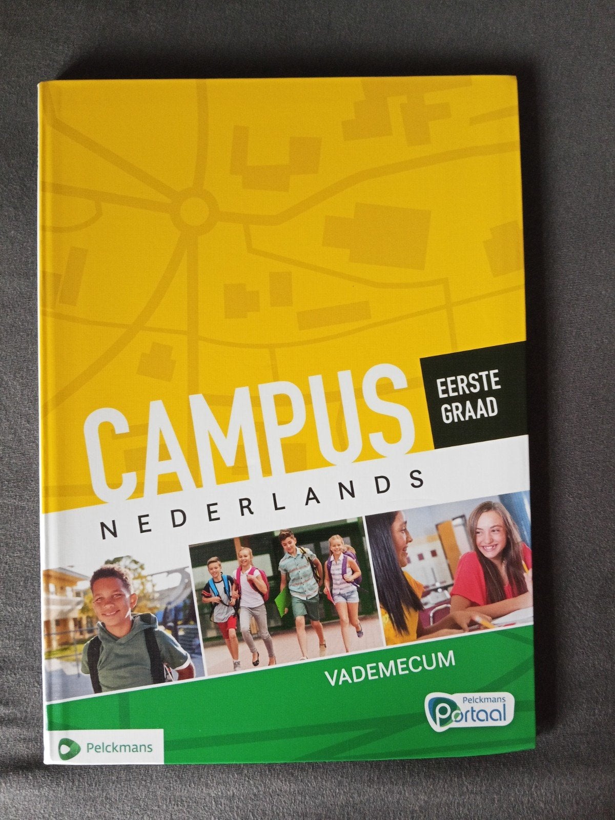 Campus Nederlands Vademecum eerste graad, Livres, Livres scolaires, Enlèvement ou Envoi, Néerlandais
