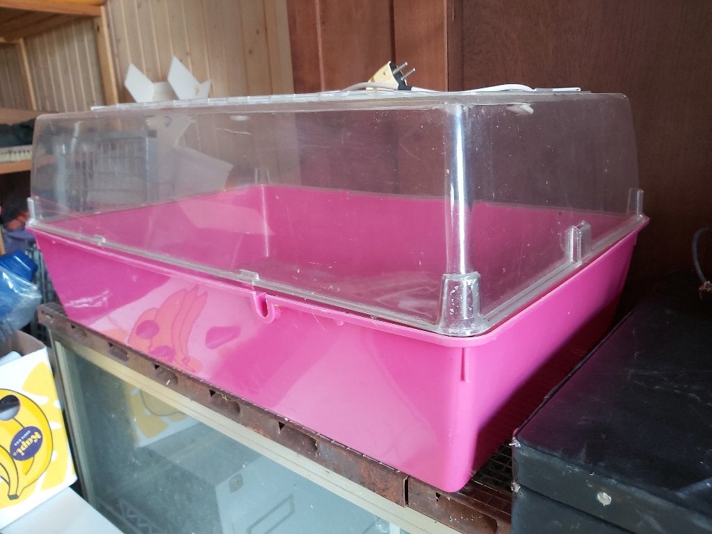 dierenhok, Moins de 60 cm, Hamster, Cage, Comme neuf