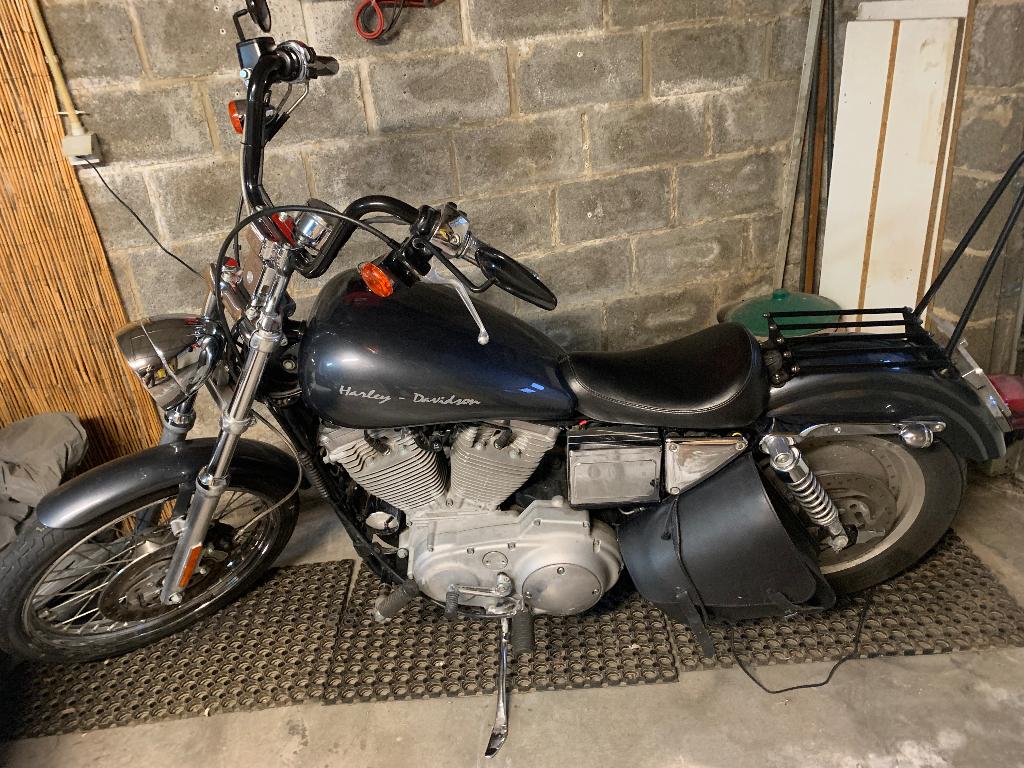 Harley Sportser 883, Enlèvement, Utilisé