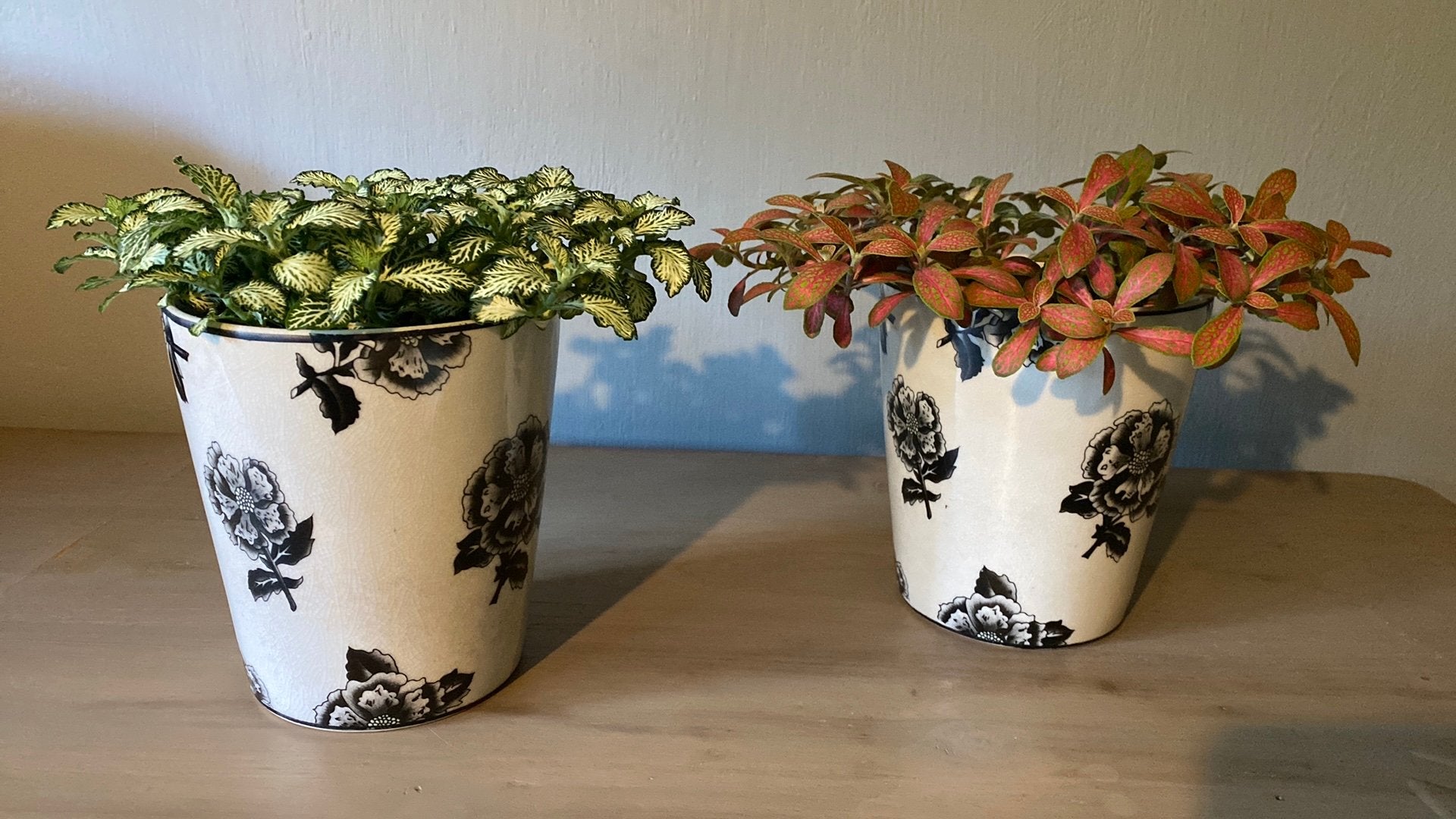 Bloempot 16 cm hoog, Ophalen, Zo goed als nieuw