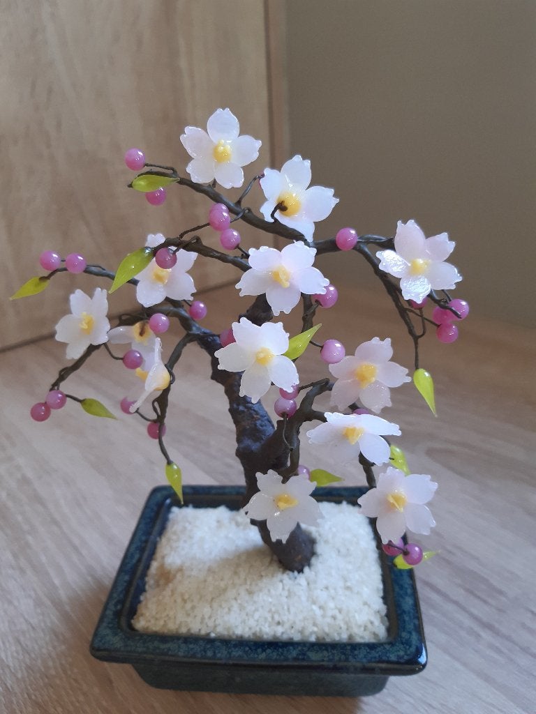 Bonsai boompje, Gebruikt, Meerkleurig, Overige stijlen, Ophalen of Verzenden