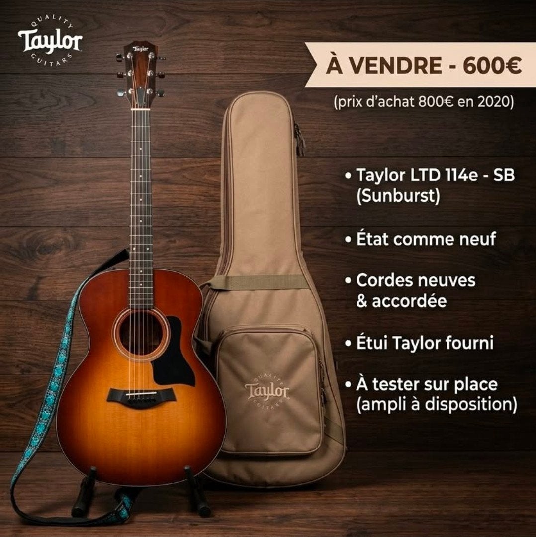 Guitare Taylor 114e, Musique & Instruments, Enlèvement, Comme neuf, Autres types
