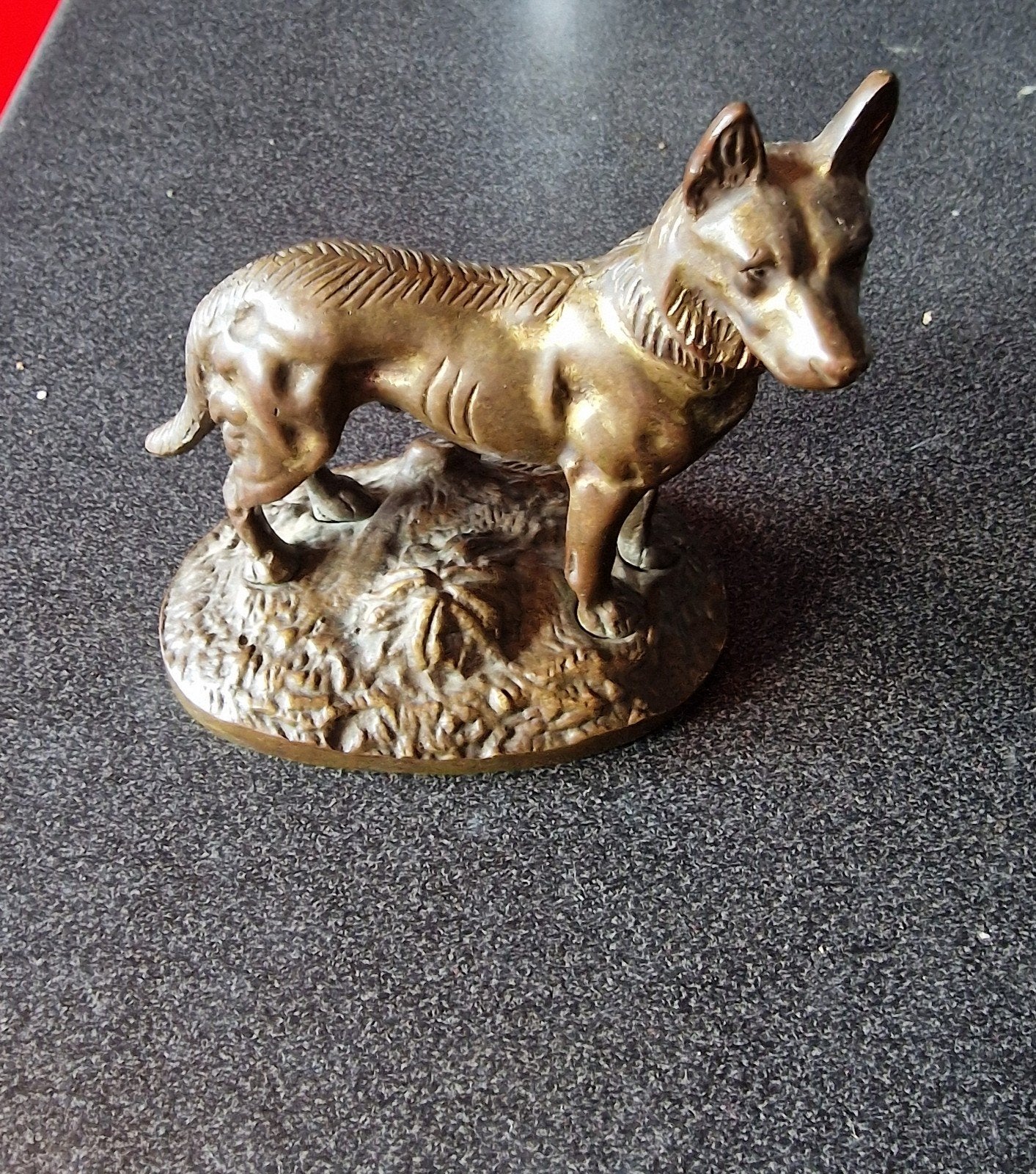 Hond, Ophalen
