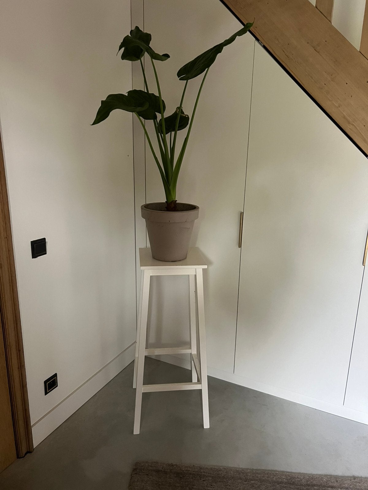 Plantenstandaard plantentafel zuil, Ophalen, Gebruikt