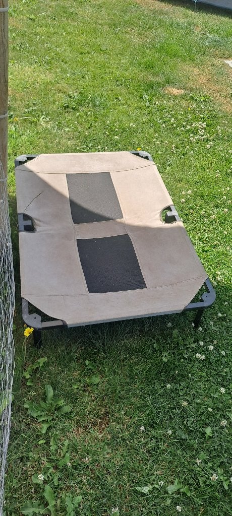 Gratis hondenbed, Dieren en Toebehoren, Hondenmanden, Ophalen, Gebruikt