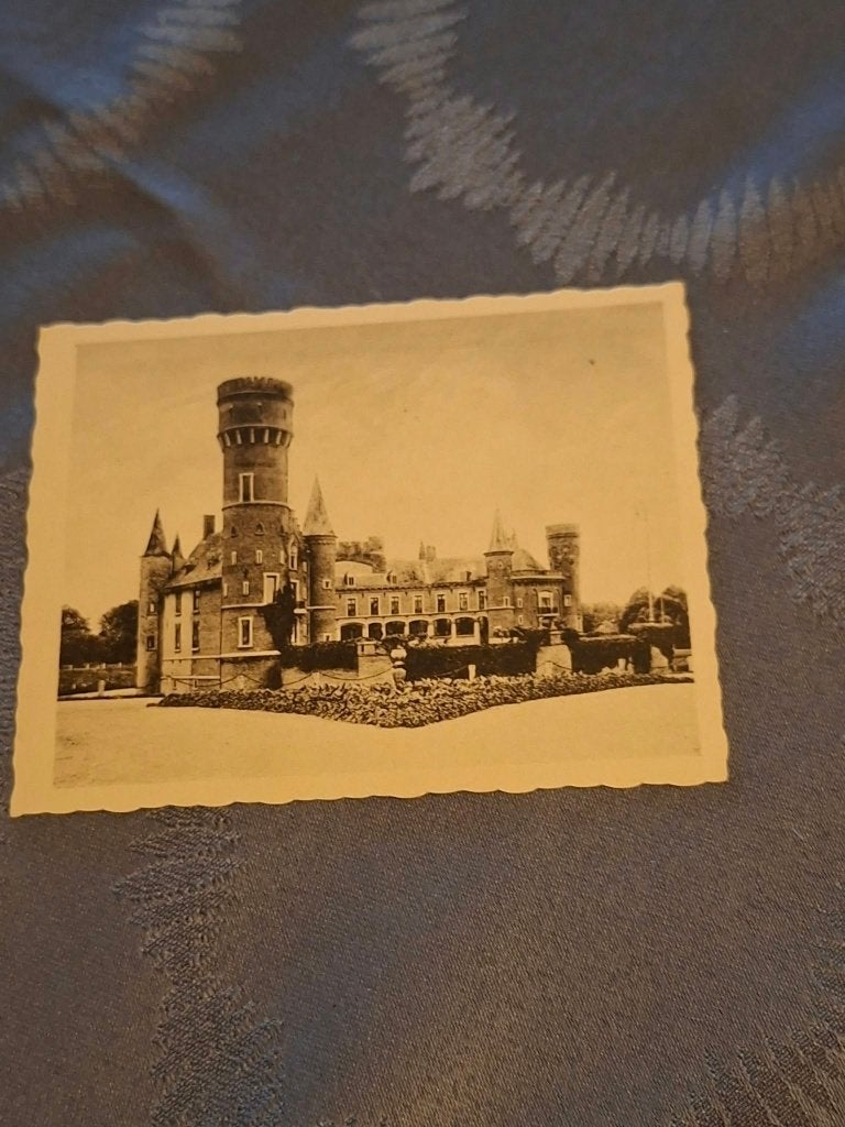 Prentje/Chromo : Torhout / Kasteel van Wijnendaele, Verzamelen, Gebruikt, Ophalen of Verzenden, 1940 tot 1960, Gebouw
