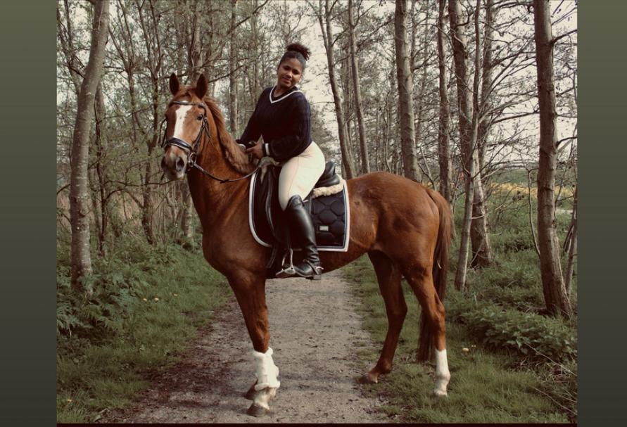 🌟BOMPROOF 🌟4 jarige engelse volbloed E-pony, Dieren en Toebehoren, E pony (1.48m - 1.57m), Ruin, Dressuurpony, 3 tot 6 jaar