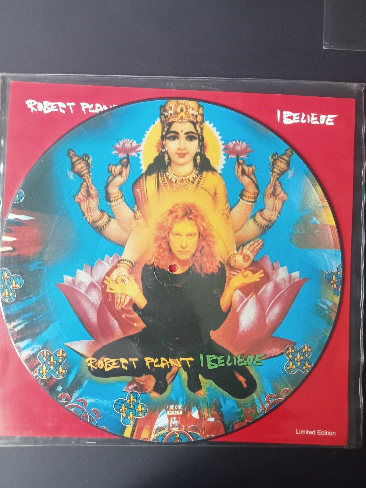 Robert Plant, fotoschijf in beperkte oplage, Picture disc