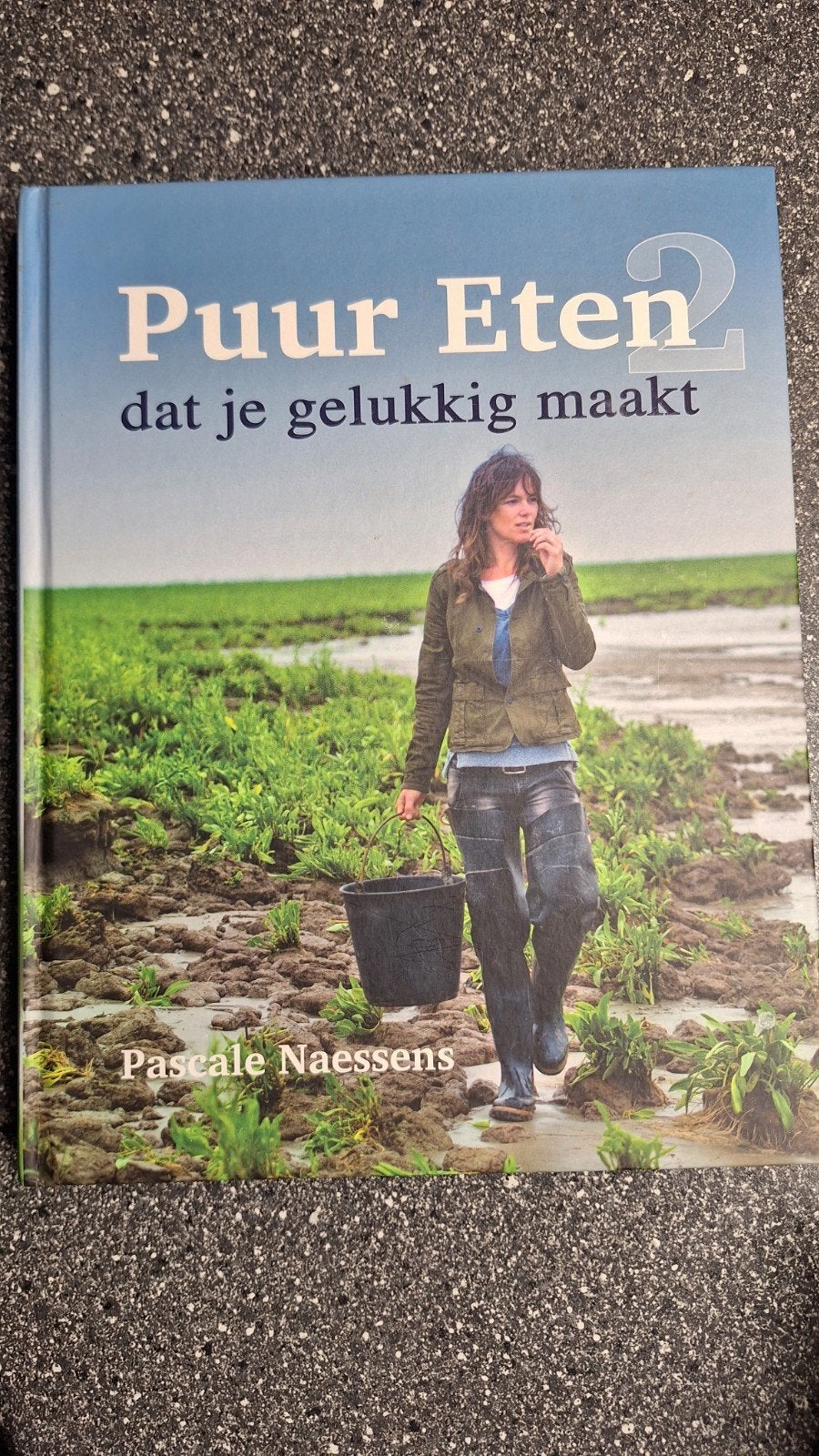 Pascale Naessens - Puur Eten 2, Boeken, Ophalen of Verzenden, Pascale Naessens
