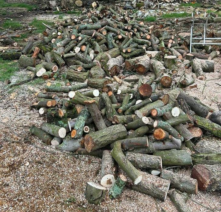Brandhout wilg en zwarte els, Tuin en Terras, Ophalen of Verzenden