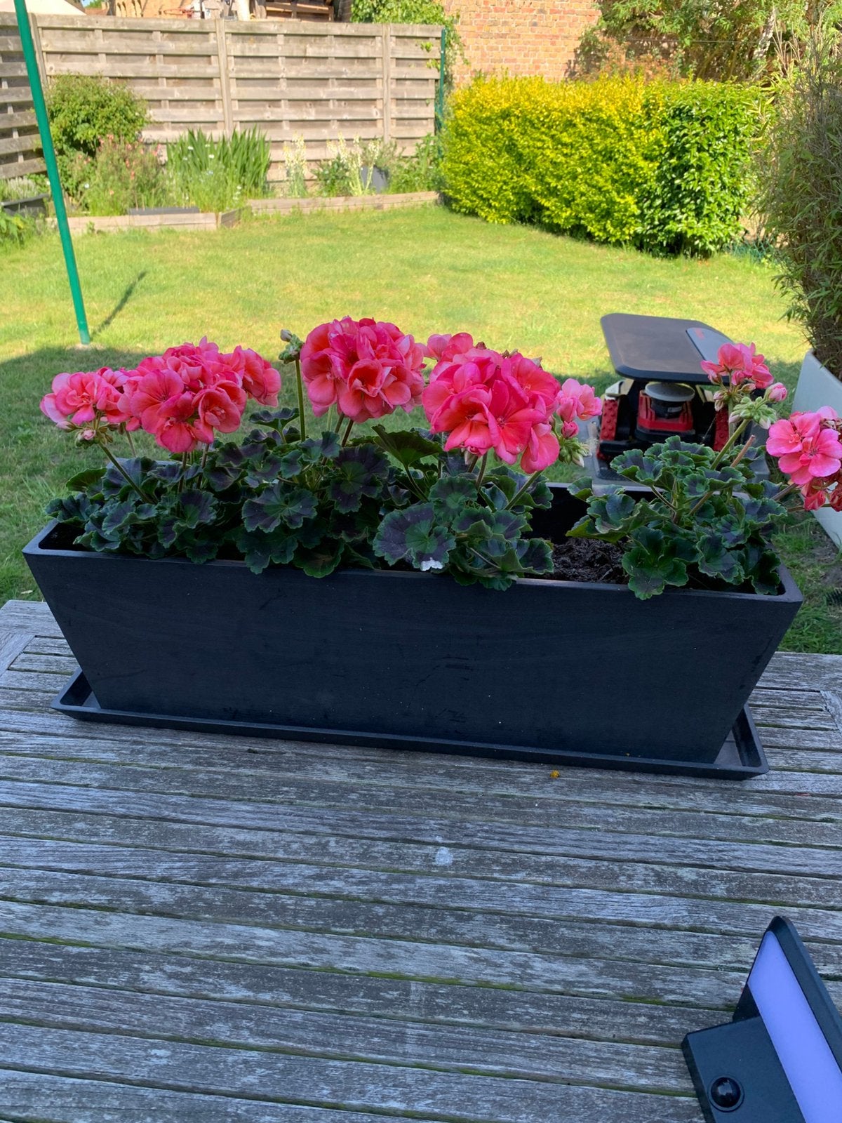 BLOEMBAK "ECOPOTS" BRUGES 66, Tuin en Terras, Ophalen, Kunststof, Nieuw, Rechthoekig