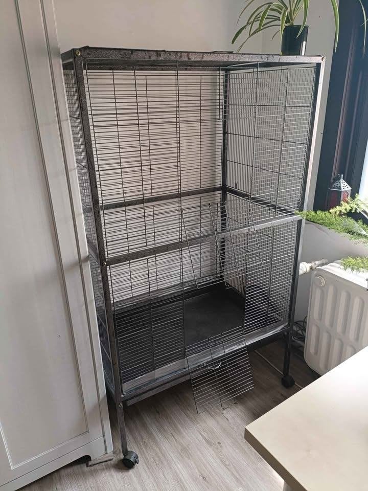 knaagdierenkooi/ volière 152x90x60cm, Dieren en Toebehoren, Ophalen, Kooi, Gebruikt, 90 cm of meer