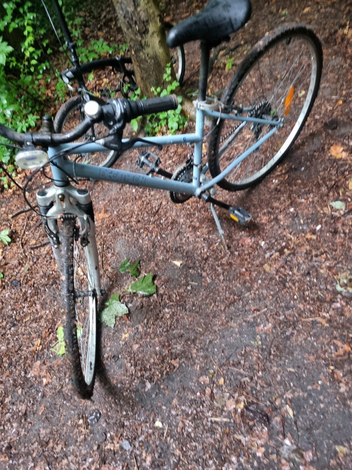 Dames fiets, Enlèvement ou Envoi