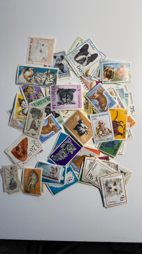 Partij van 80+ Thema Postzegels – Honden & Katten, Ophalen of Verzenden