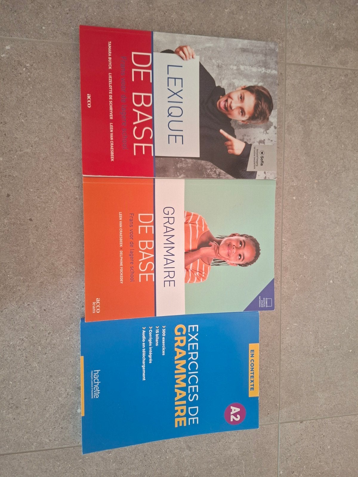 Lexique De Base- Grammaire De Base- excercices de grammaire, Boeken, Ophalen, Zo goed als nieuw