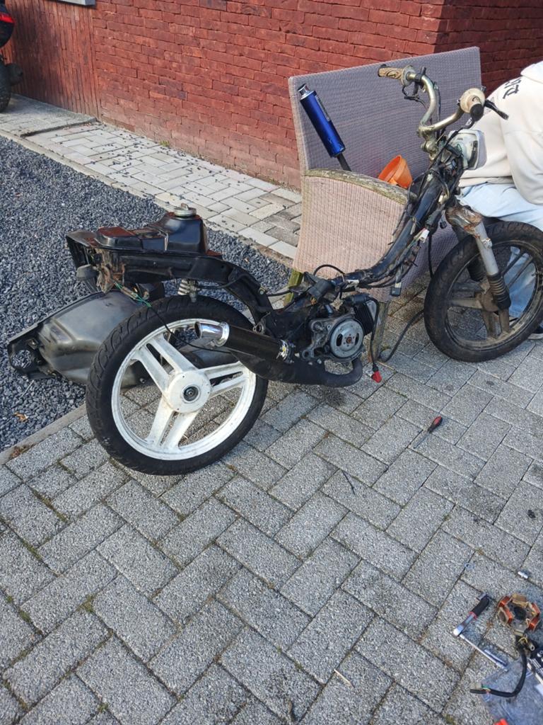 Honda wallaroo, Enlèvement