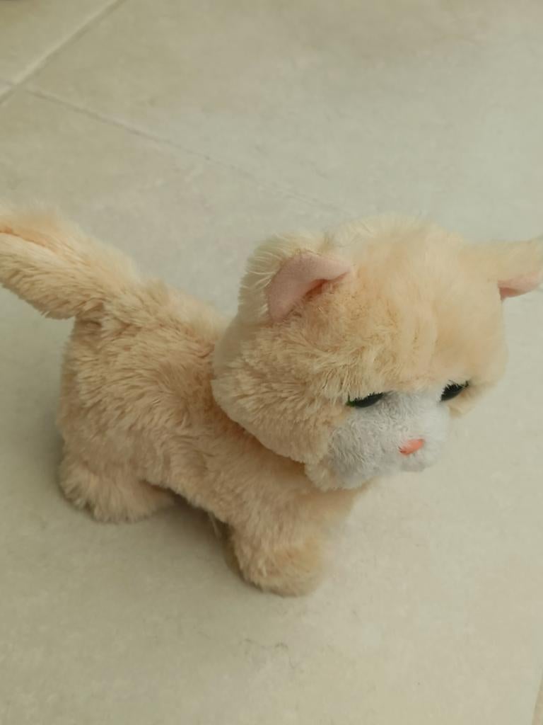 Furreal poes, Ophalen of Verzenden