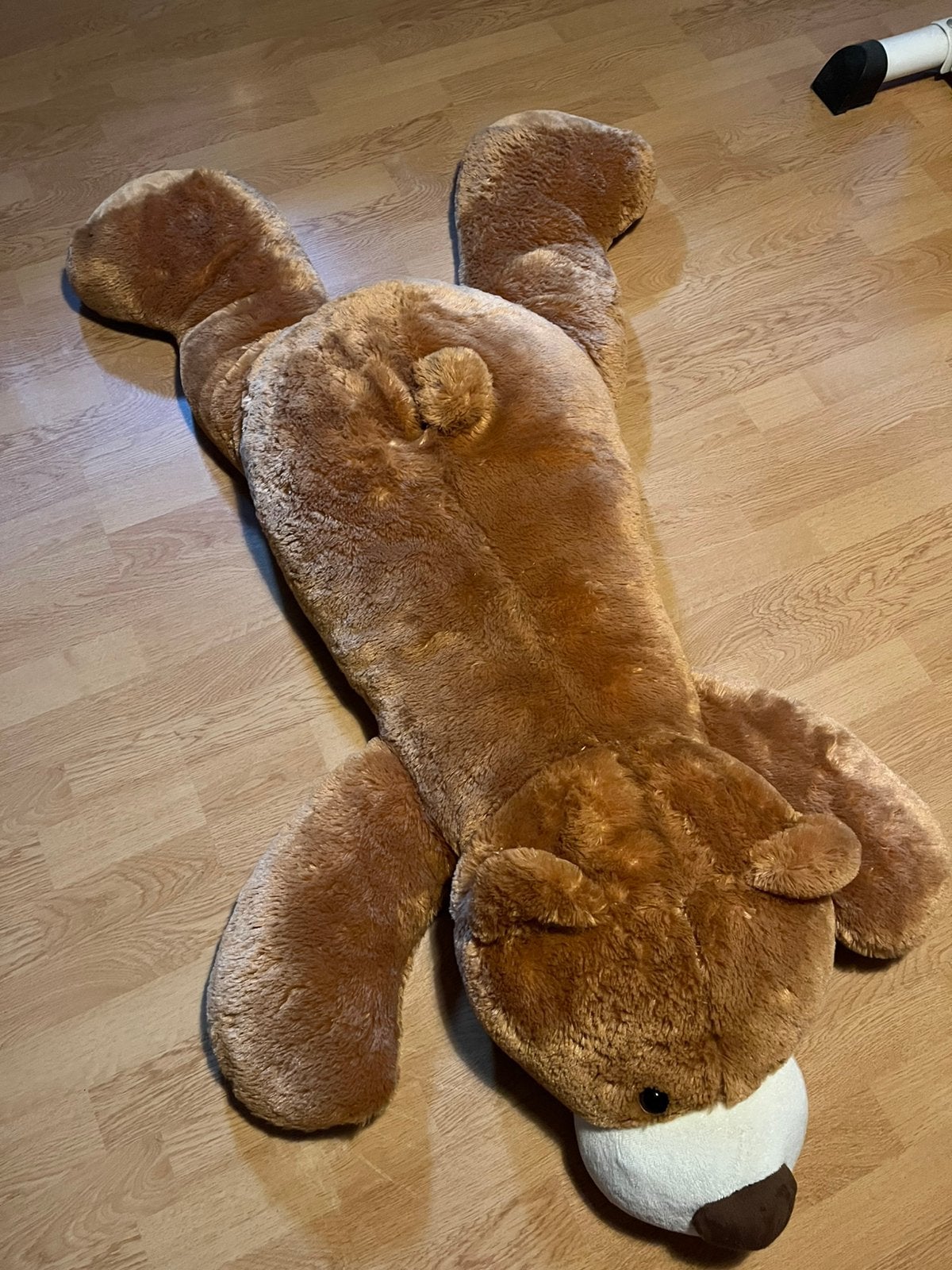 Ours, Ophalen, Zo goed als nieuw, Bruin, Beer