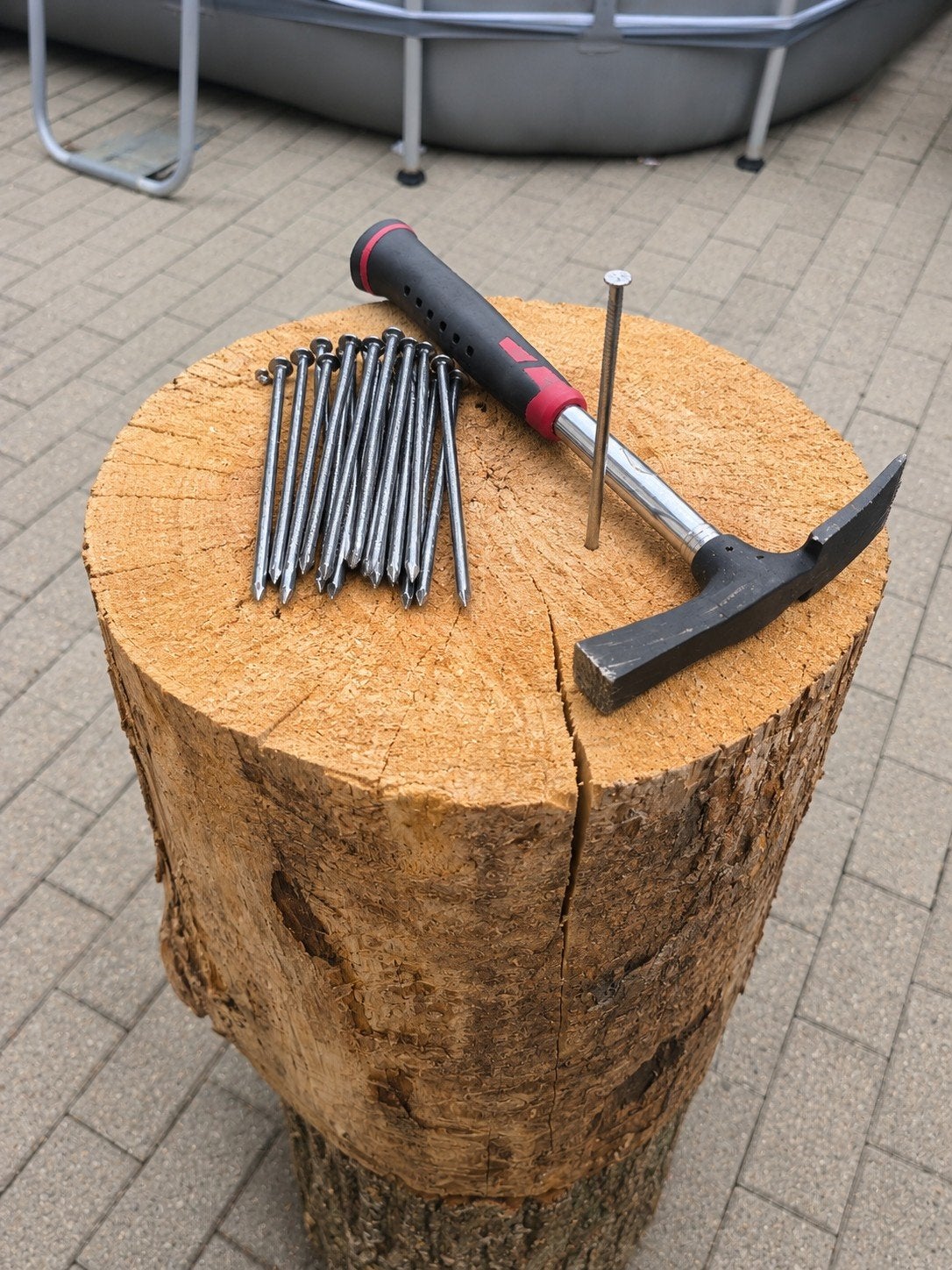 nageltje klop tr huur, Ophalen of Verzenden