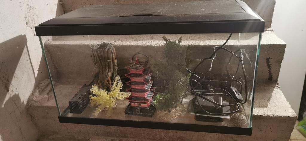 Aquarium 60x30x30 +toebehoren, Enlèvement, Filter