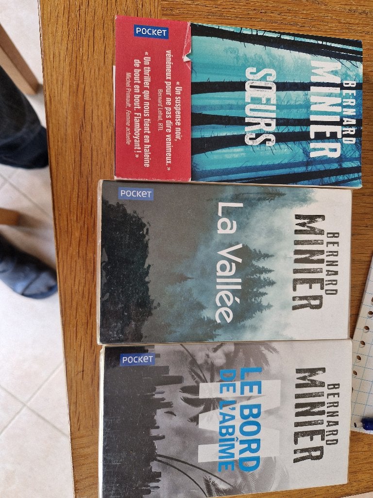 Lot de romans Thrillers Bernard Minier, Boeken, Ophalen, Zo goed als nieuw, Bernard Minier, Europa overig