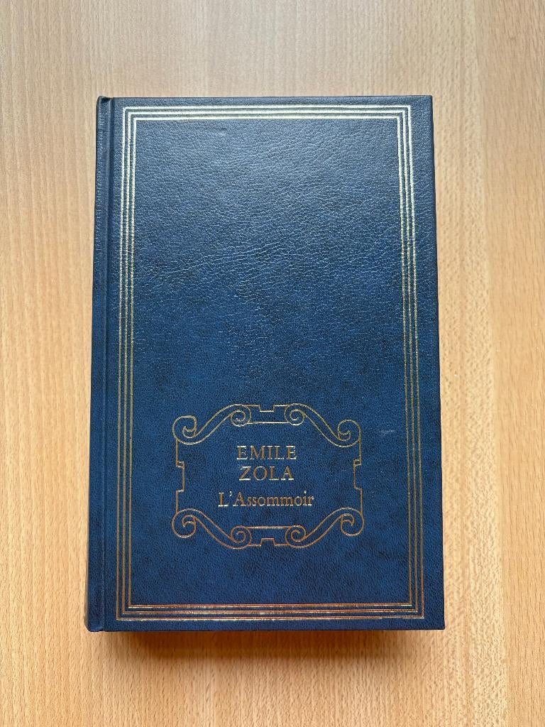 L'Assommoir, Livres, Romans, Utilisé, Europe autre, Enlèvement