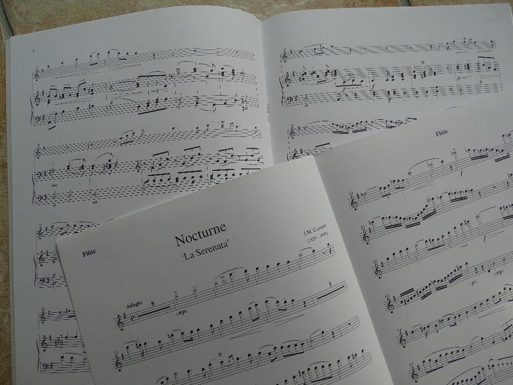 Bladmuziek fluit. blokfluit, hobo, viool en piano 11 boeken, Viool of Altviool, Klassiek, Overige soorten, Ophalen of Verzenden