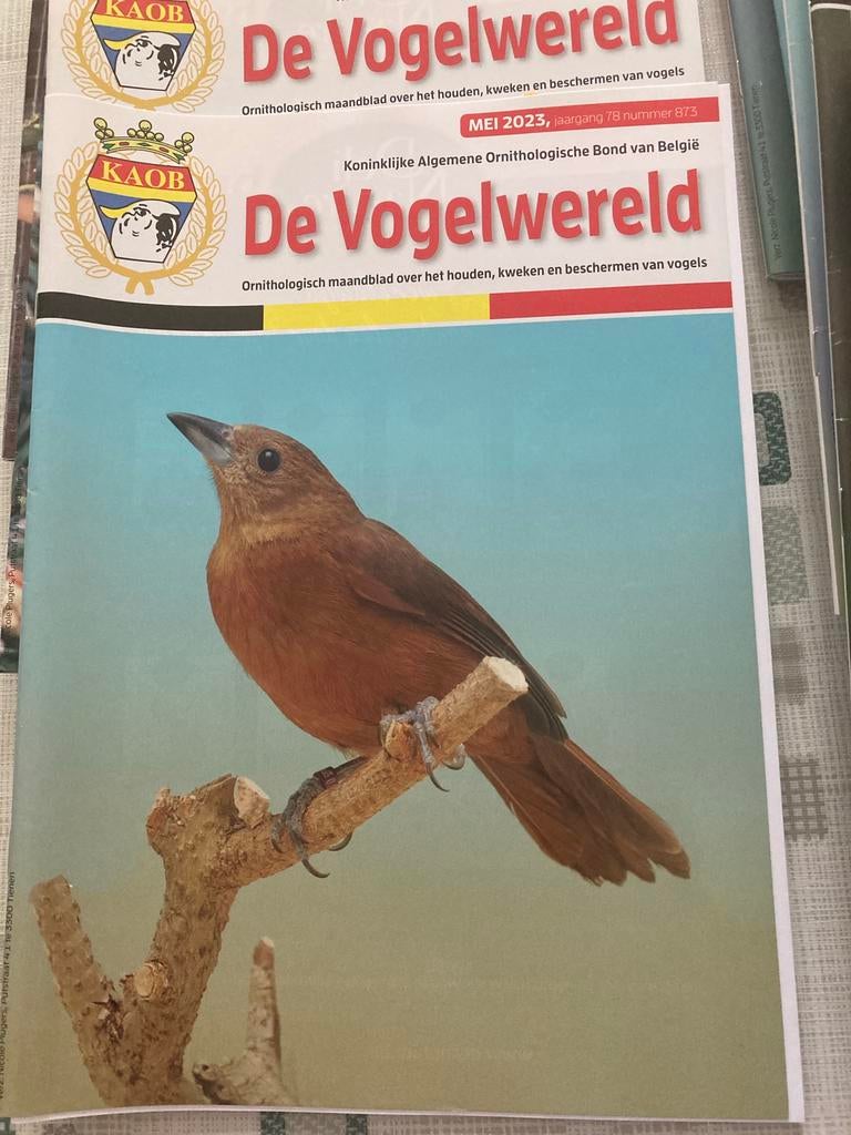 De vogelwereld, Ophalen, Zo goed als nieuw, Glossy