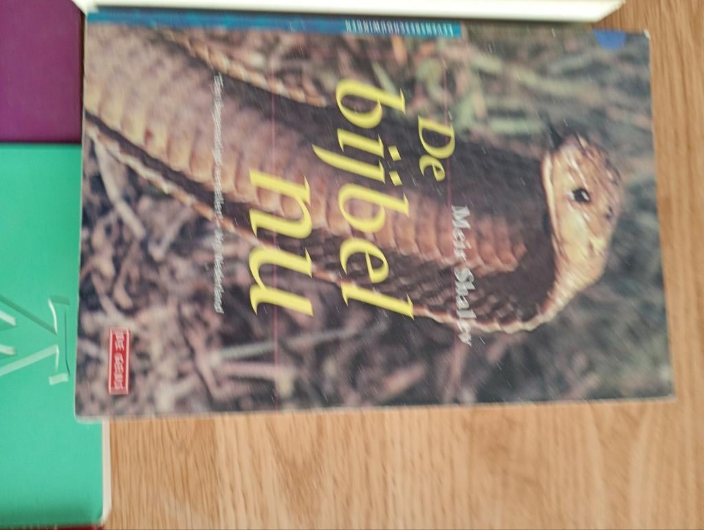 Shalev. De Bijbel nu, Enlèvement