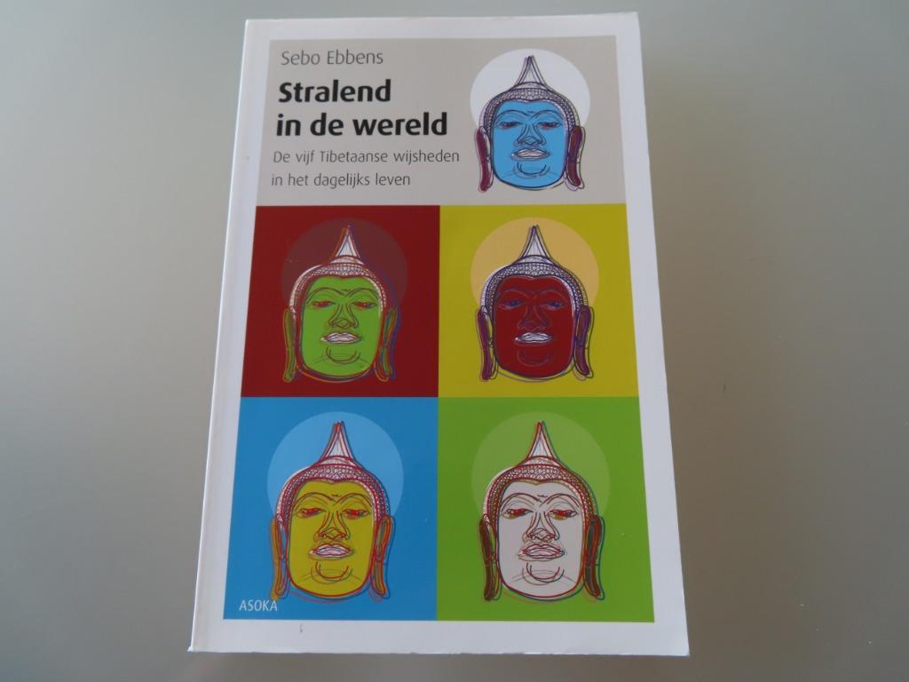 Stralend in de wereld – Sebo Ebbens De vijf Tibetaanse wijsh, Achtergrond en Informatie, Spiritualiteit algemeen, Sebo Ebbens