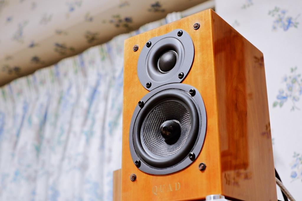 GEZOCHT: Quad L-ite 2 (Lite 2) of woofer ervoor, Audio, Tv en Foto, Luidsprekerboxen, Verzenden, Gebruikt