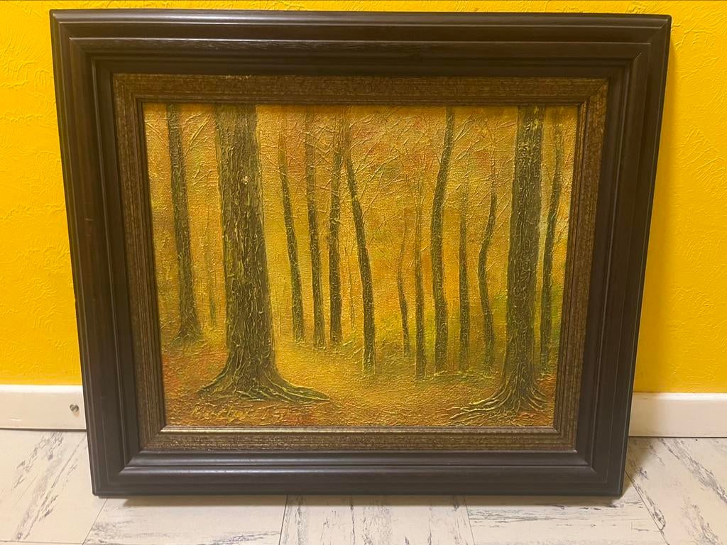 Schilderij kunst Fons Macharis Aalst - natuurzicht, Enlèvement