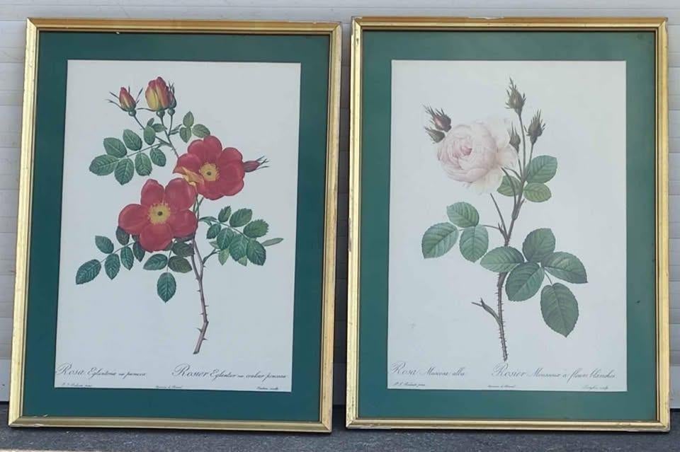 2 lithographie rosier, Ophalen of Verzenden