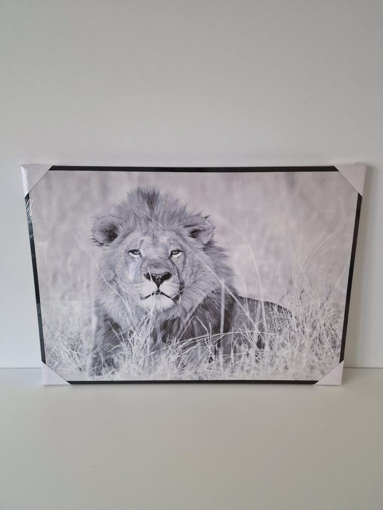Canvas Leeuw, Huis en Inrichting, Woonaccessoires | Schilderijen, Tekeningen en Foto's, Ophalen, Nieuw