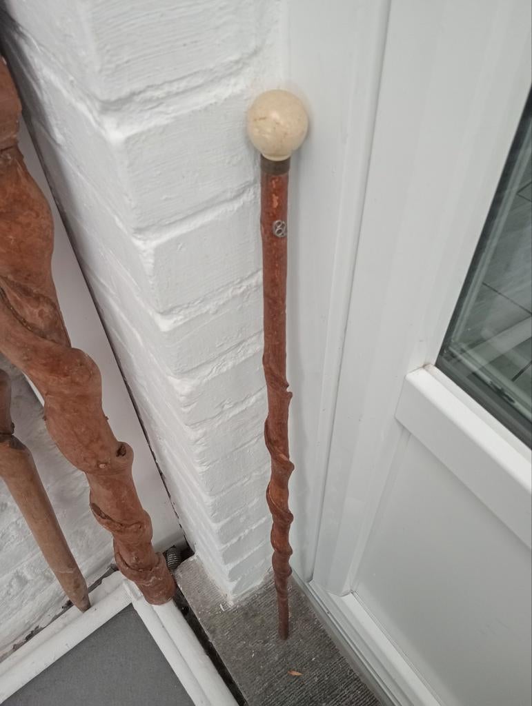 Canne  tortueuse 84 cm, Enlèvement ou Envoi