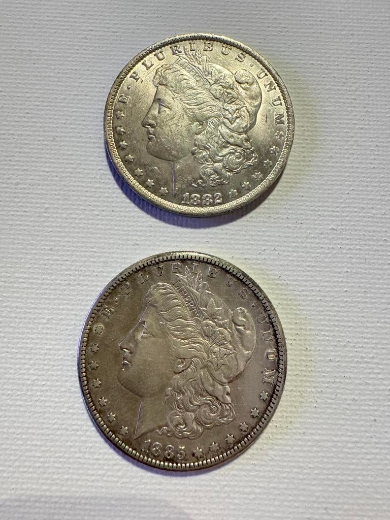 1 Dollar "Morgan Dollar" en argent, Ophalen, Zilver